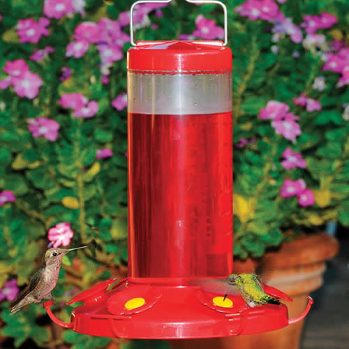 Grand Master Hummer Feeder