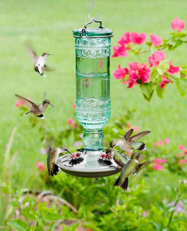 Antique Green Bottle Hummingbird Feeder w Brushed Silver Accents
